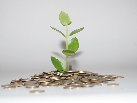 一键环境配置的ddos网页版